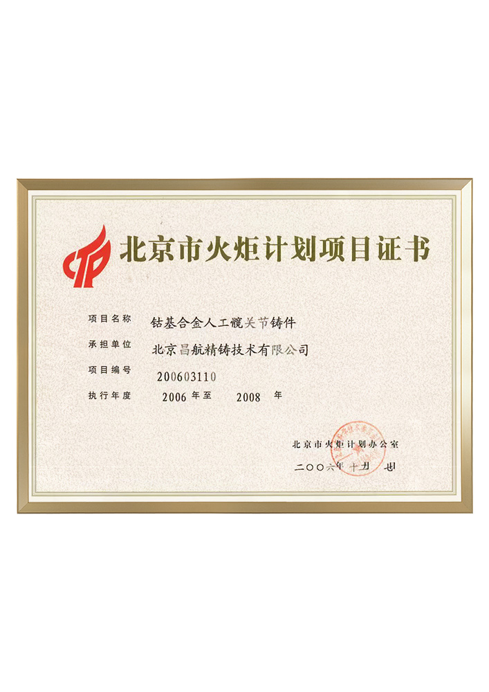 National Torch Program Project Certificate