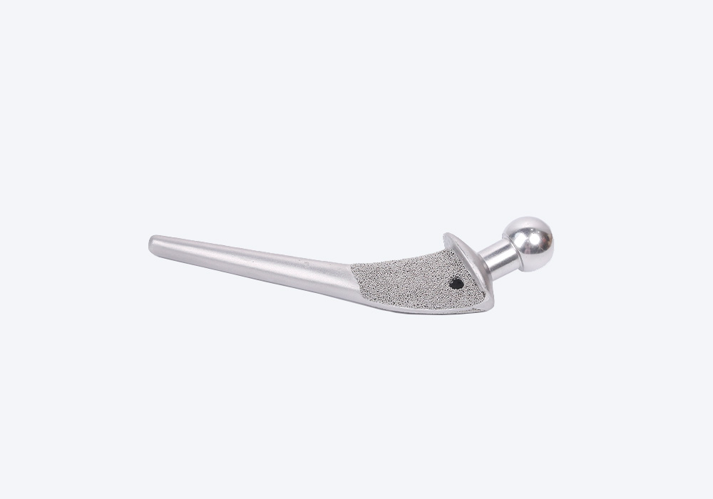 Femoral Stem