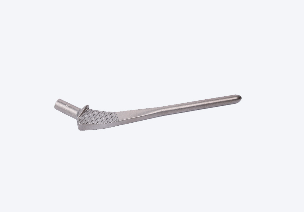 Femoral Stem